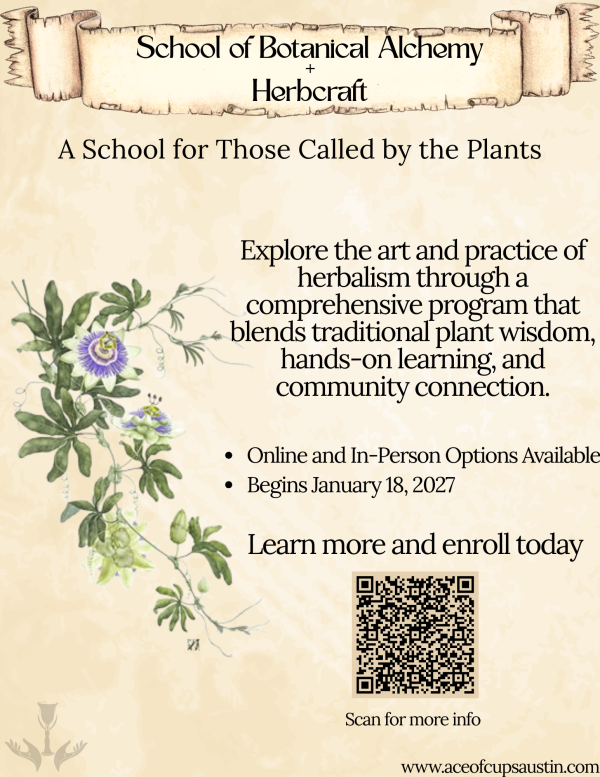 School of Botanical Alchemy + Herbcraft — A School for Those Called by the Plants. Online and in-person options available, begins January 18, 2027.